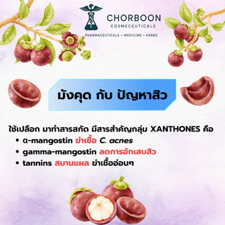 CHORBOON THAI HERBAL ANTI-ACNE CREAM