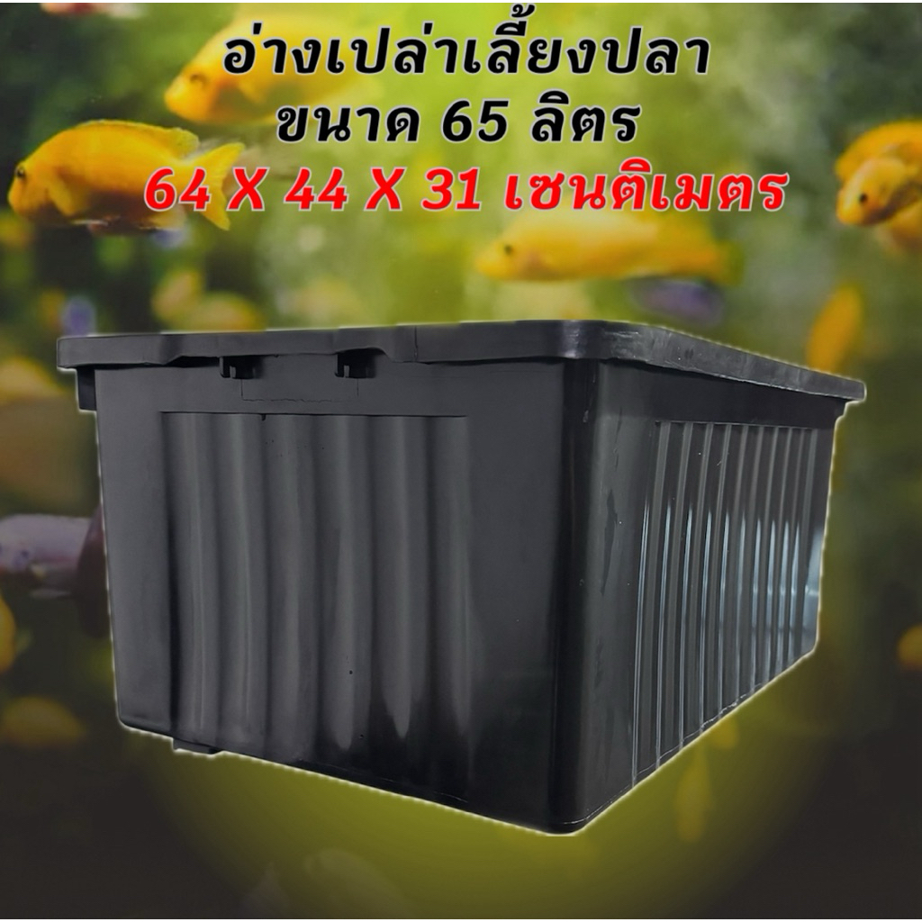 อ่างเลี้ยงปลา 65 ลิตร อ่างเปล่าสีดำ 64x44x31ซ. อ่างปลาบอลลูน อ่างปลากัด อ่างปลาสวย กะบะเลี้ยงปลา อ่างเลี้ยงปลา