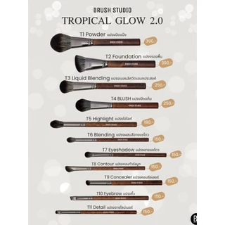 BRUSH STUDIO Tropical Glow : T8 Contour แปรงคอนทัวร์สันจมูก