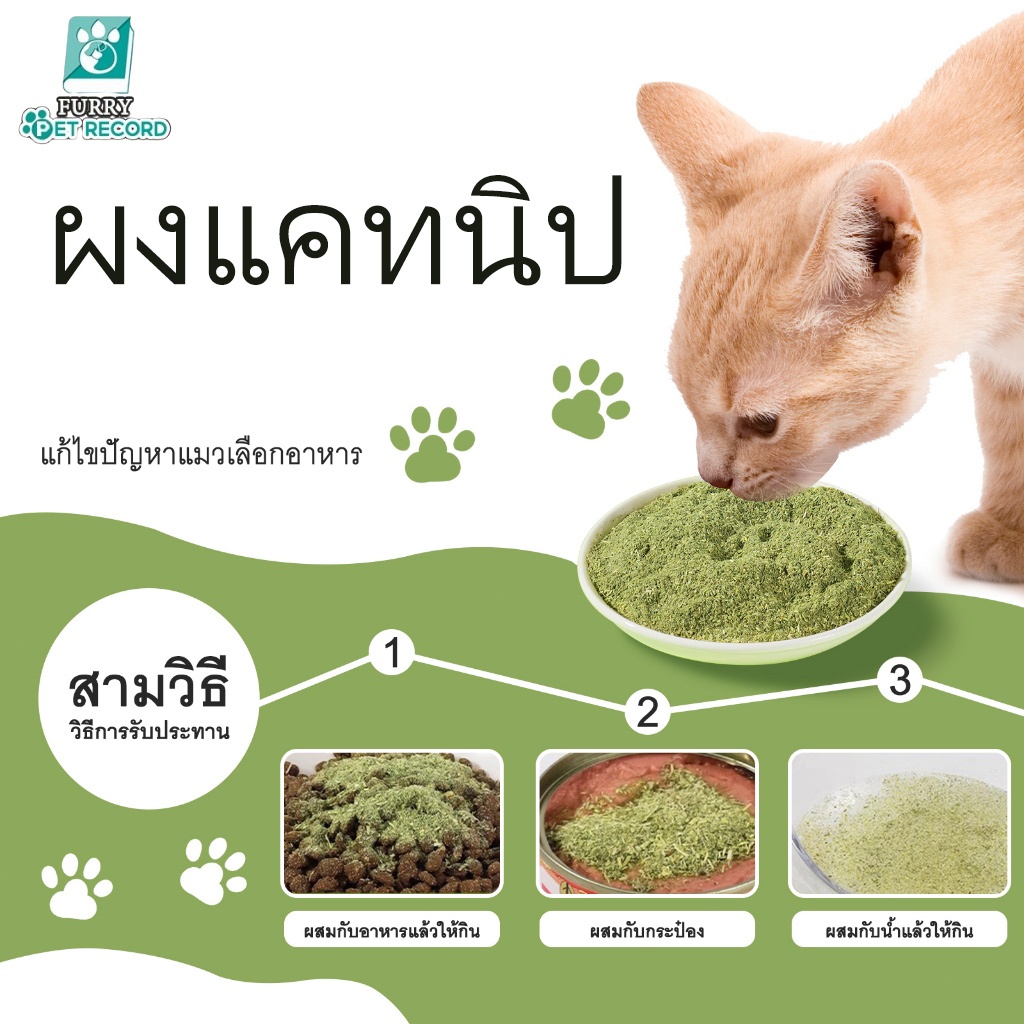 PET-RECORD กัญชาแมว Catnip ออร์แกนิคแบบหลอด บบผงขนาด 40 ml แคดนิปแมว แคตนิปแมว กัญชาหลอด