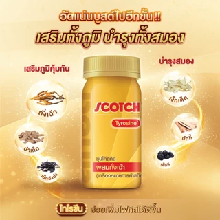 Scotch สก๊อต ซุปไก่สกัด สูตรผสมถั่งเฉ้า 40 มล. (แพ็ก 12 ขวด) จำนวน 1 แพ็ก