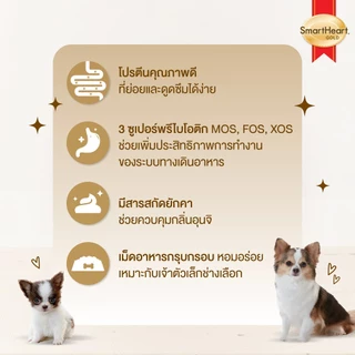 SmartHeart Gold Indoor small breed dog อาหารสุนัขโตพันธุ์เล็กเลี้ยงในบ้าน 1kg