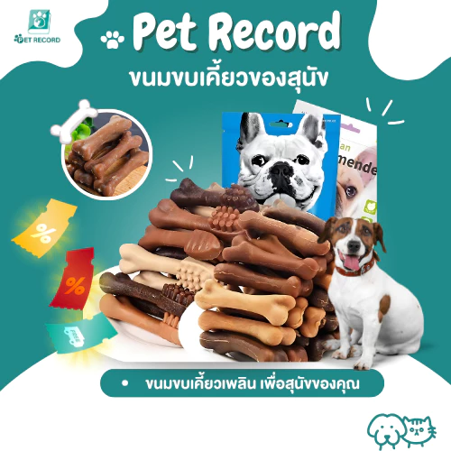 Pet Record สัตว์เลี้ยงสุนัขเคี้ยวขนมขบเคี้ยวสุนัขบดฟันการฝึกอบรมและรางวัลของเล่น
