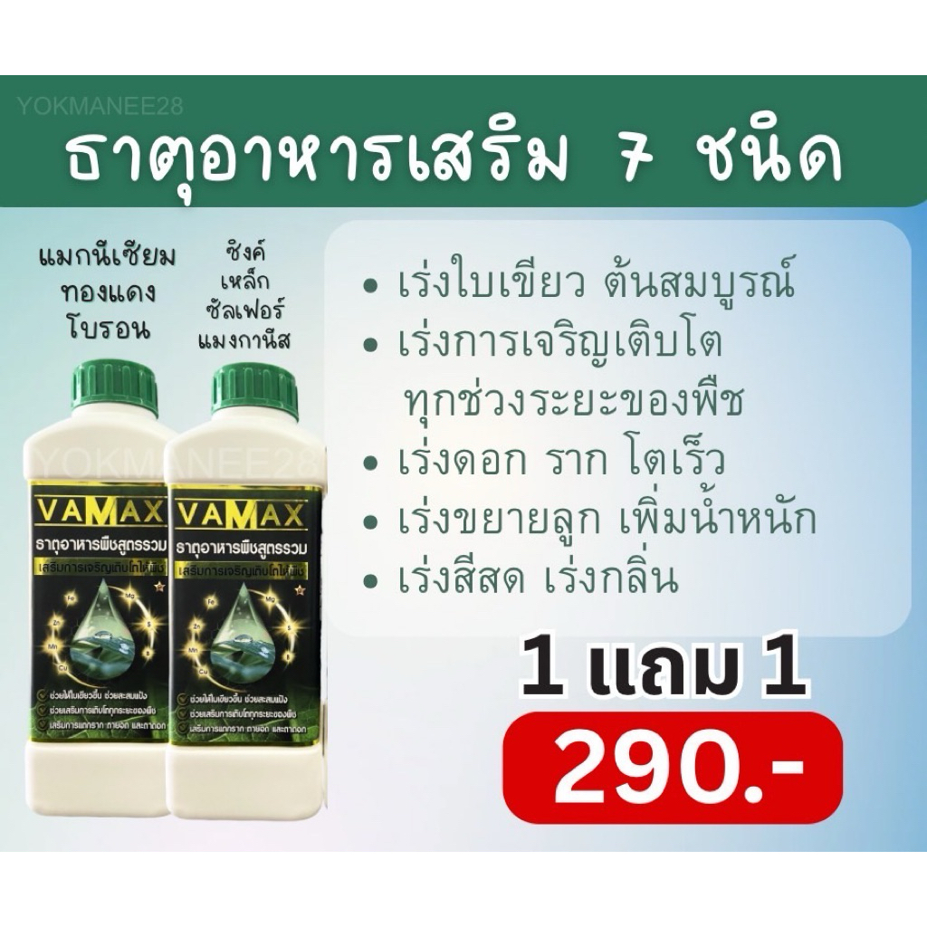 ปุ๋ยน้ำธาตุรวม7ชนิด vamax 1 ลิตร แถม vamax 1 ลิตร