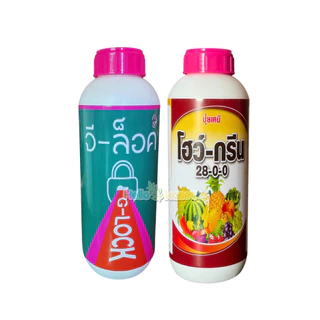 ฮอร์โมน ชุดเขียวถึกทน จีล็อค+โฮว์กรีน ขนาด 1 ลิตร เขียวไว เขียวทน เขียวนาน 1 ชุด ต่อพื้นที่ 10 ไร่