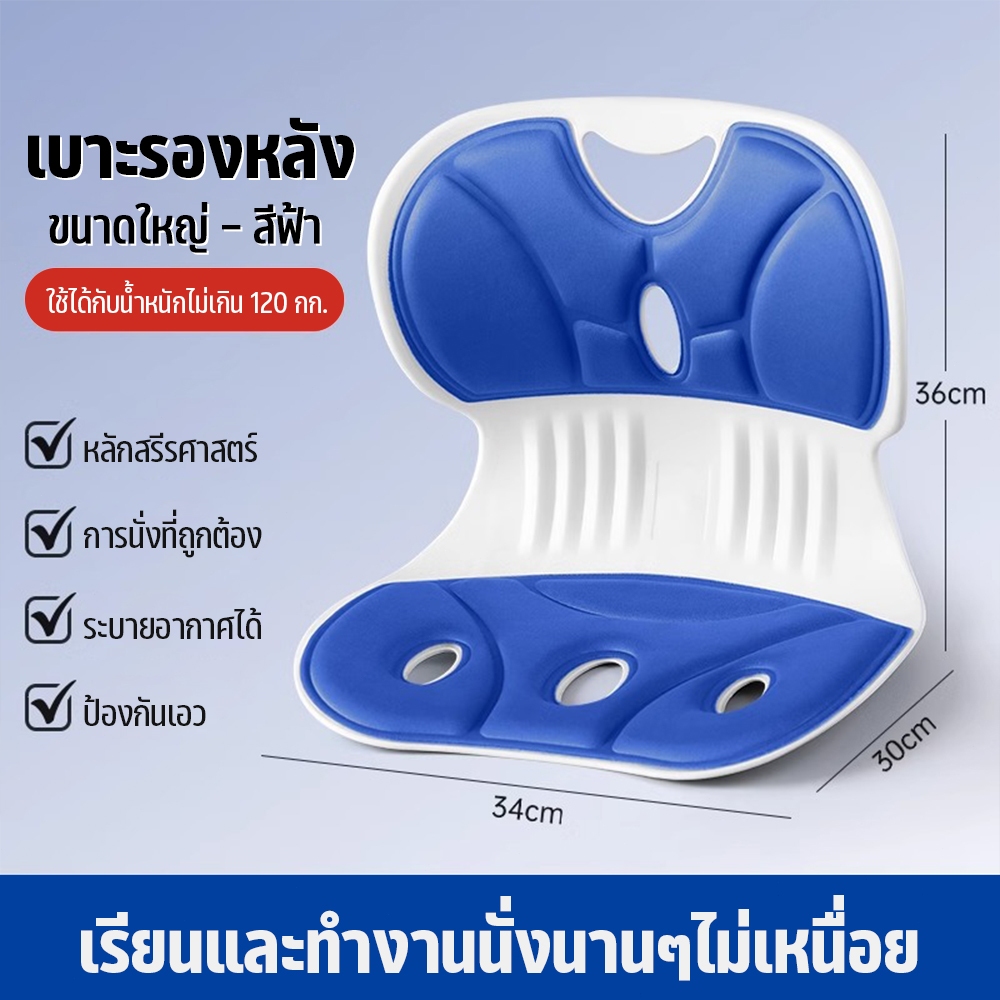 เบาะรองนั่ง รองหลัง รองนั่ง เก้าอี้รองปรับท่านั่ง เบาะรองนั่งเพื่อสุขภาพ เบาะปรับท่าทางและบรรเทาอาการปวดหลัง COD