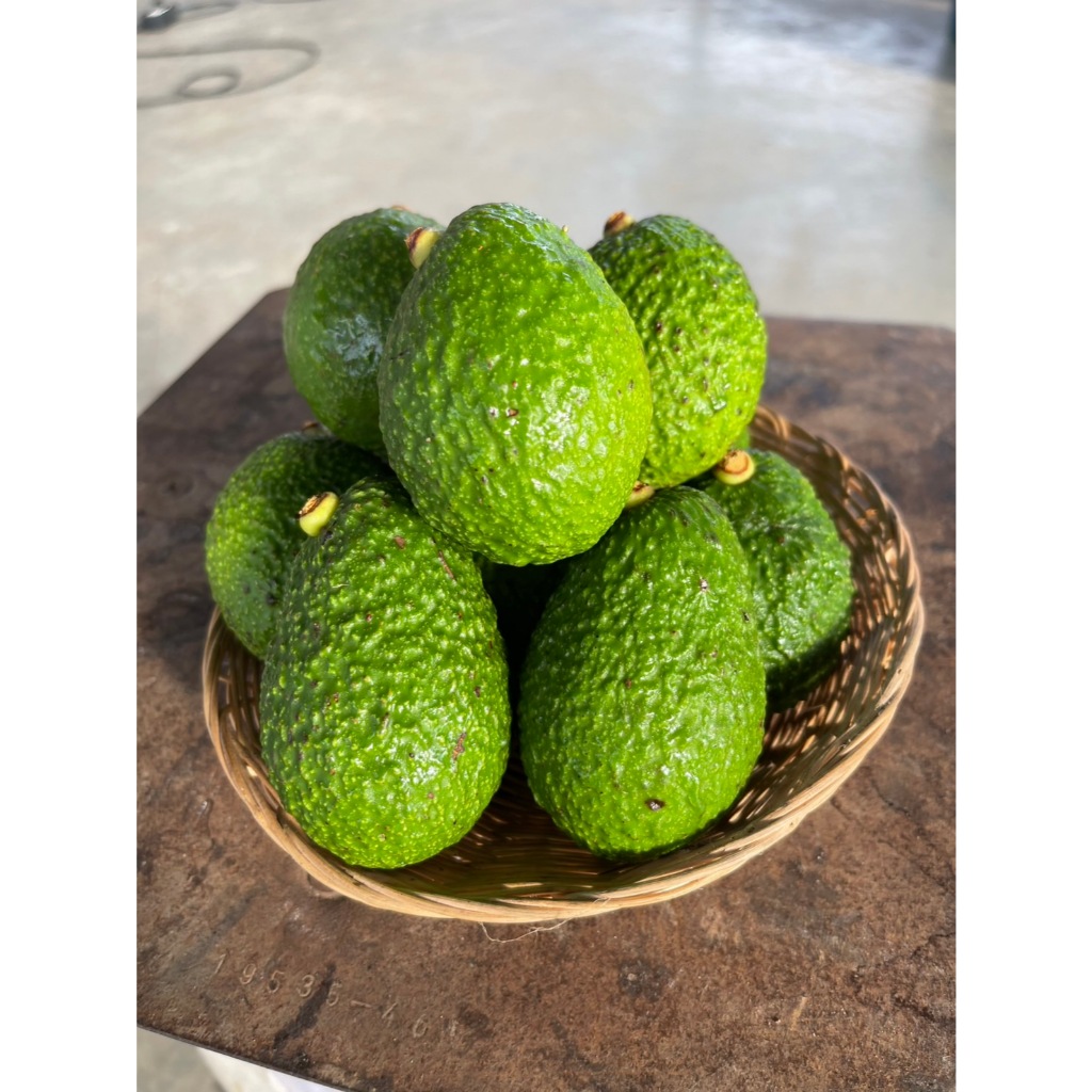 อาโวคาโด้แฮสไทย Avocado Hass Thai แท้ๆ ส่งจากเชียงใหม่