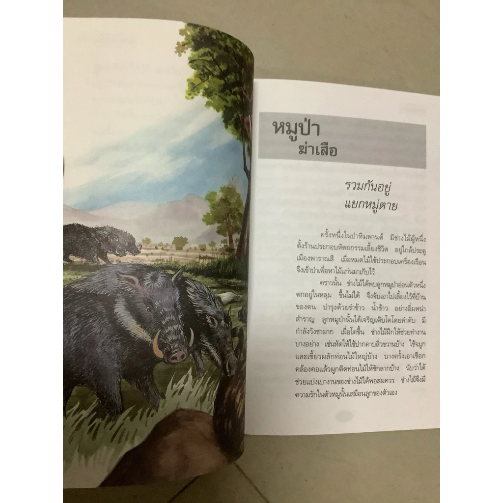 หนังสือเด็กเก่งศัพท์ไทยอังกฤษ การ์ตูนสามก๊ก ทศชาติชาดก สามทหารเสือ ประวัติพระพุทธเจ้า thumbnail 8