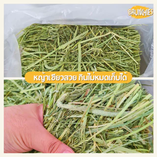 Brunchies ทิมโมธีเกรดม้าพรีเมียมแบบปึก (3/5kg) ไม่ร่อนฝุ่น คัดเขียวหอม สะอาด หญ้ากระต่าย
