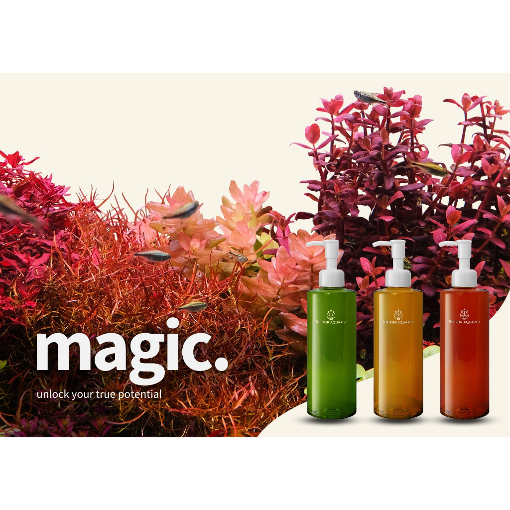 ผลิตภัณฑ์ 2Hr Aquarist APT ปุ๋ยน้ำ คาร์บอนน้ำ รองพื้น ปุ๋ยฝัง ผลิตภัณฑ์ปรับสภาพน้ำ นำเข้าจากสิงคโปร์