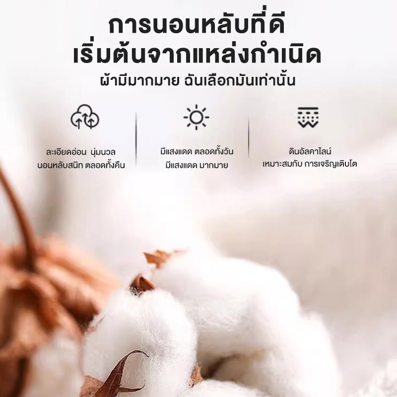 ที่นอน 3 ฟุต ที่นอนย