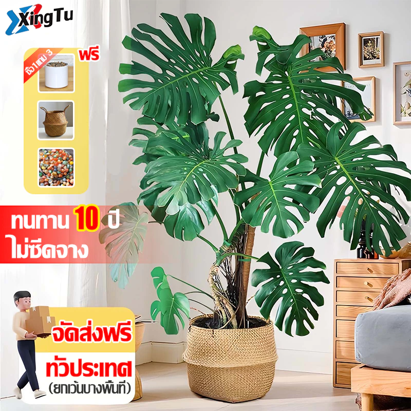 ☘ซื้อ1แถม3☘XT ต้นไม้ปลอม ต้นไม้ปลอมใหญ่ ความจำลอง 99.9% ต้นไม้แต่งบ้าน 46/80/95cm กระถาง+แถมฟรีหิน