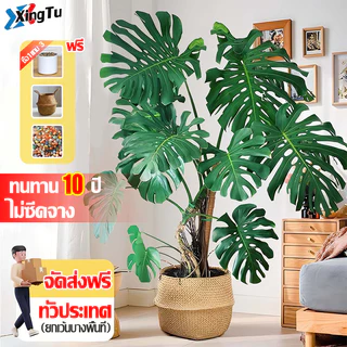 ☘ซื้อ1แถม3☘XT ต้นไม้ปลอม ต้นไม้ปลอมใหญ่ ความจำลอง 99.9% ต้นไม้แต่งบ้าน 46/80/95cm กระถาง+แถมฟรีหิน