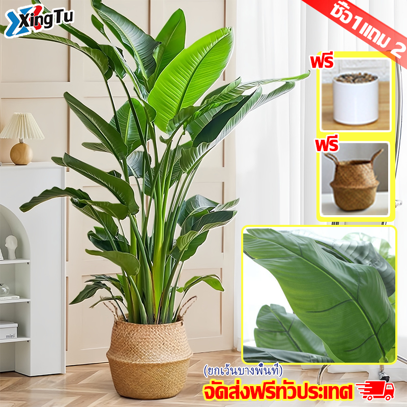 🌿ไม่ซีดจางนาน 10 ปี🌿ต้นไม้ปลอมใหญ่ ต้นไม้ปลอม ความจำลอง99% ทนทาน ไม่ซีดจาง 65/86/96cm 24ใบไม้ แถมฟรีหิน กระถาง