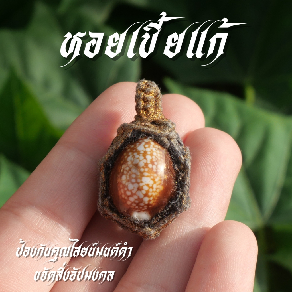 (JA1) เบี้ยแก้ หอยเบี้ยแก้ แบบเชือกถัก เข้าพิธีอย่างถูกต้องแล้ว