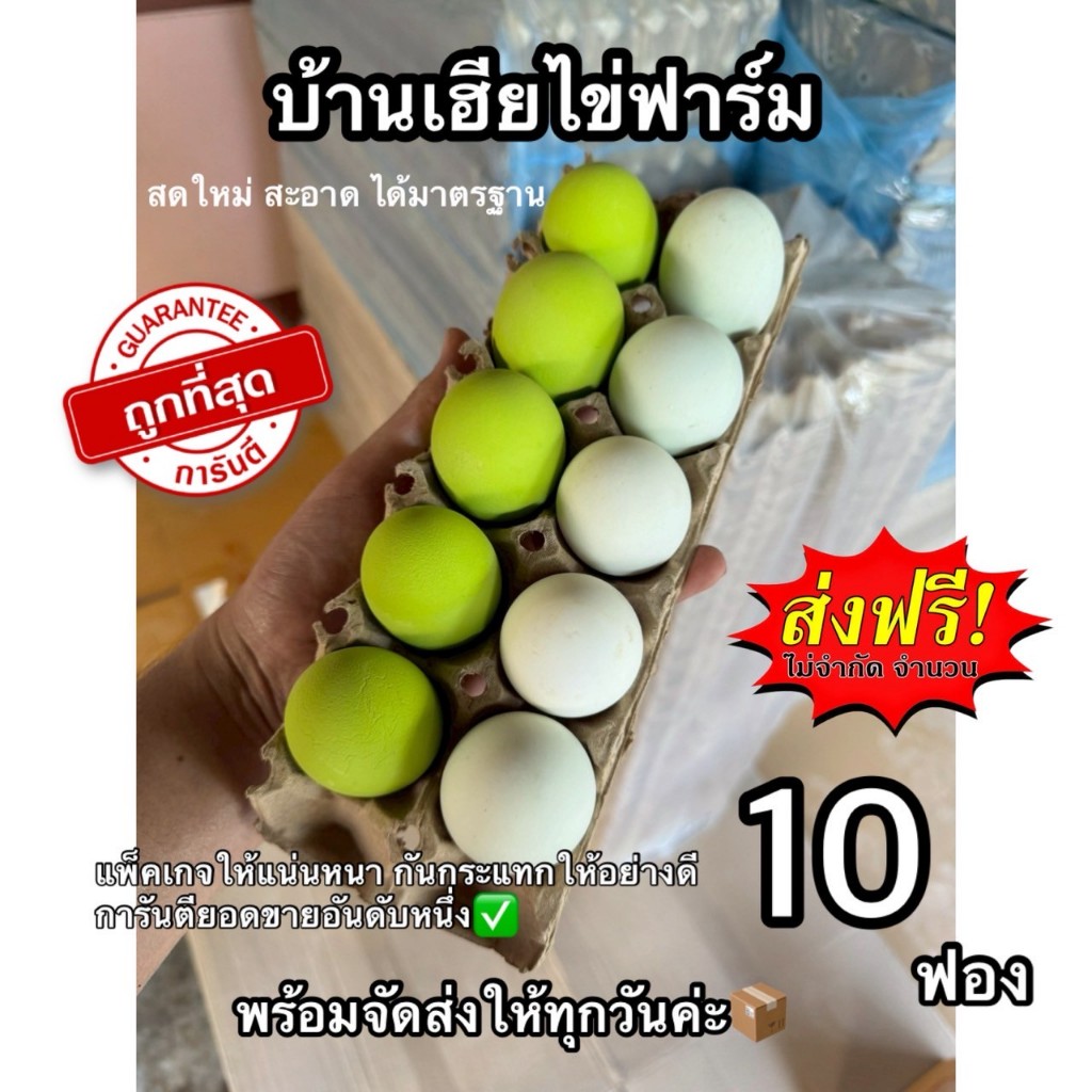 ไข่เค็ม ไข่เยี่ยมม้า(สีชาเขียว) อย่างละ5ฟอง ส่งฟรี สูตรโบราณ