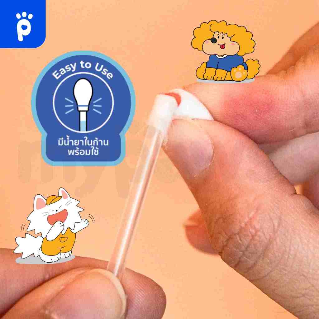 รูปภาพ 4