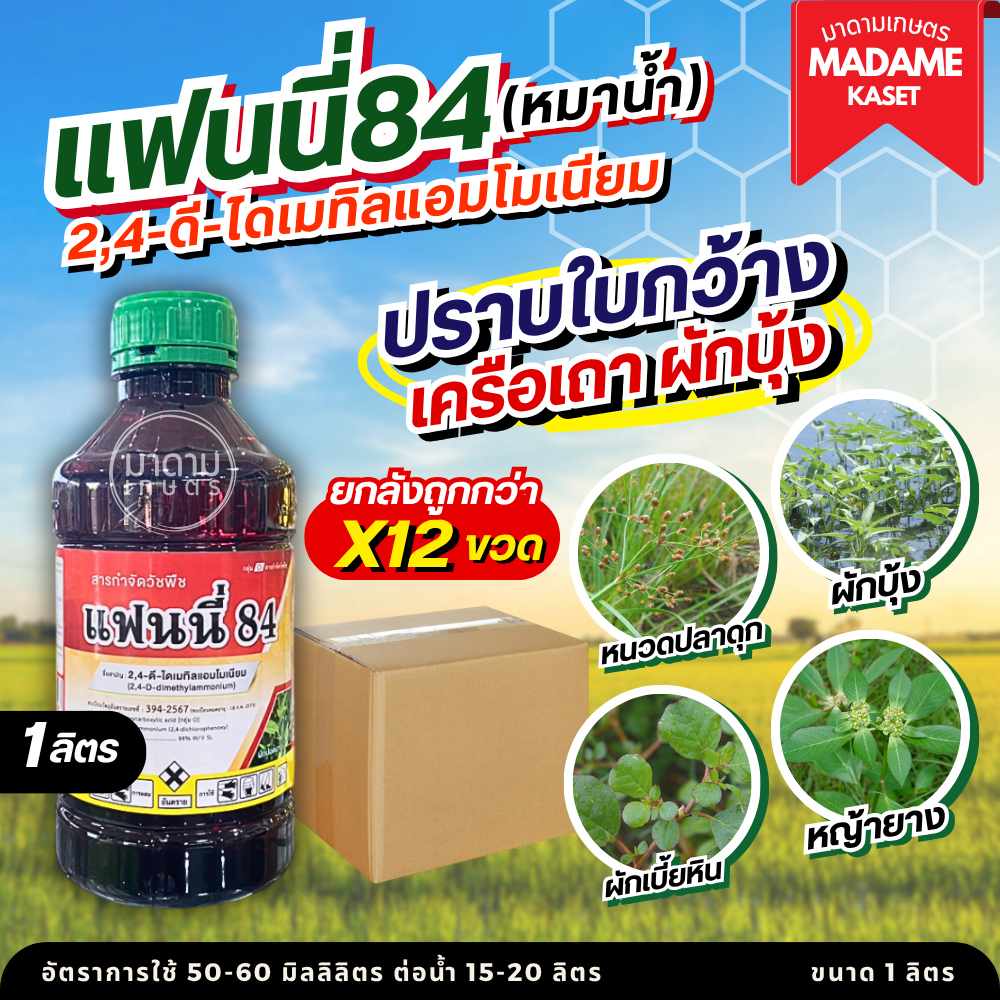 ยกลังx12ขวด**จำกัดออเดอร์ละ 1 ลัง** | แฟนนี่84 หมาน้ำ (2,4 ดี-ไดเมทิลแอมโมเนียม) ขนาด 1 ลิตร