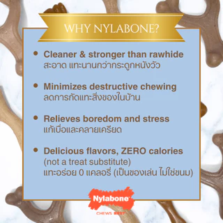 Made in USA🇺🇸 Nylabone Strong Chew Gourmet Style Femur Puppy Chew Bacon Flavor ของเล่นขัดฟันลูกสุนัข
