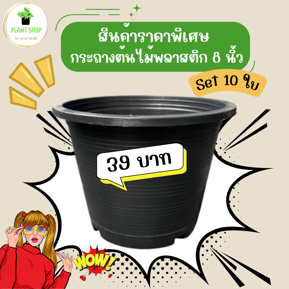 สินค้าจัดราคาพิเศษ โปรสำหรับคนใช้น้อย กระถางพลาสติก กระถางต้นไม้ 8 นิ้ว สีดำ จัดเซ็ท 10 ใบ เนื้อหนา เหนียว แข็งแรง ทนทาน