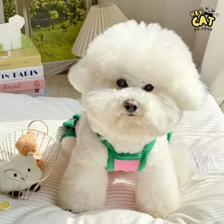 Furry ชุดเดรสสัตว์เลี้ยง เสื้อแมว ชุดแมว Taste ดี เนื้อผ้า Cotton 100% นุ่มใส่สบาย By Heycat