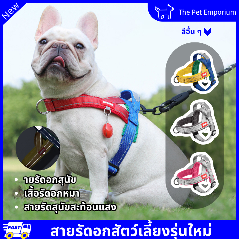 สายรัดอกสัตว์เลี้ยง สายจูงแมวและสุนัข ปลอกคอสะท้อนแสง ป้องกันการพุ่งกระชาก ออกแบบตามหลักสรีระ ใช้งานปลอดภัย