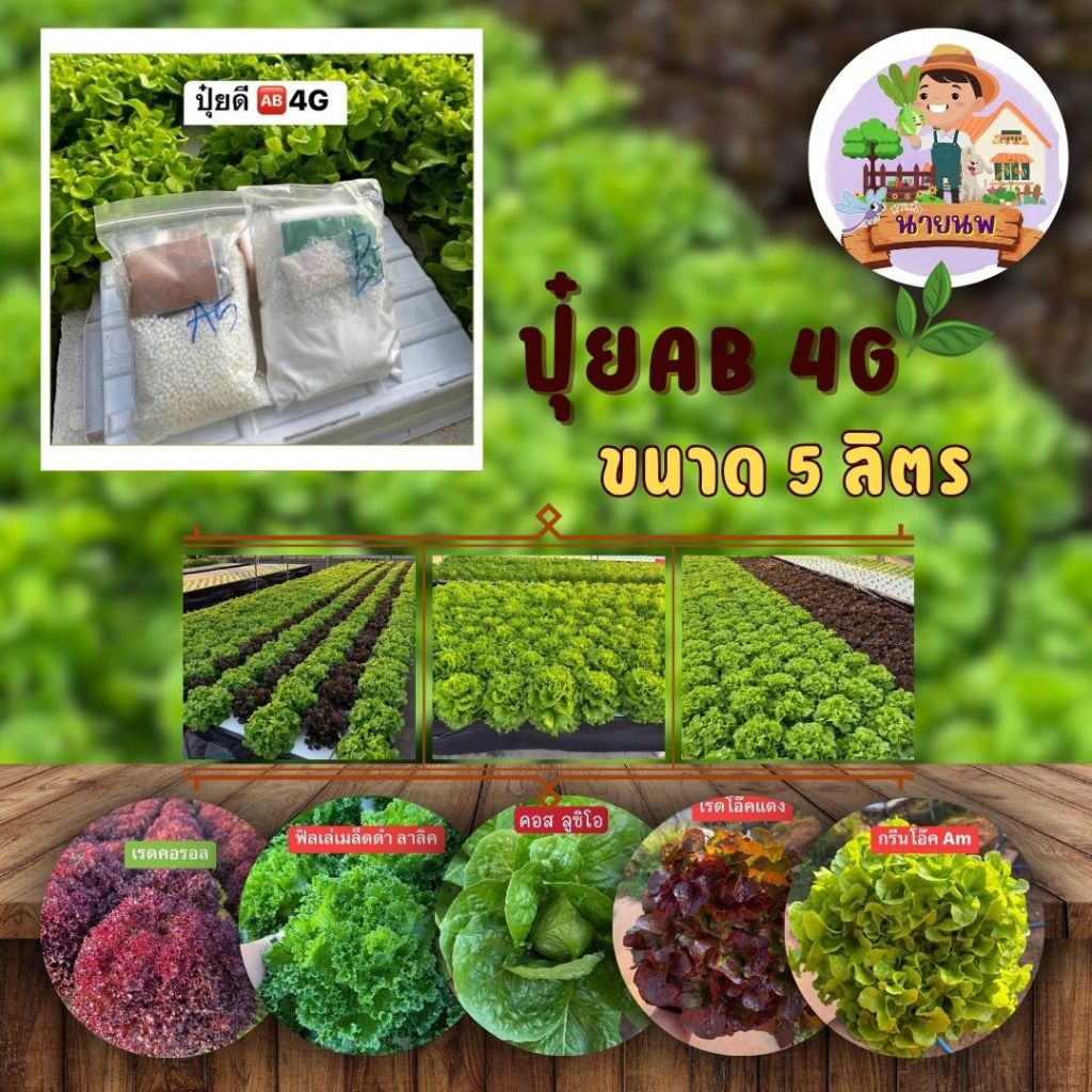 ปุ๋ยน้ำAB 4G+ ปุ๋ยab สำหรับปลูกพืชทางน้ำ เซตคู่ ได้ทั้งAB ขนาด 5 ลิตร