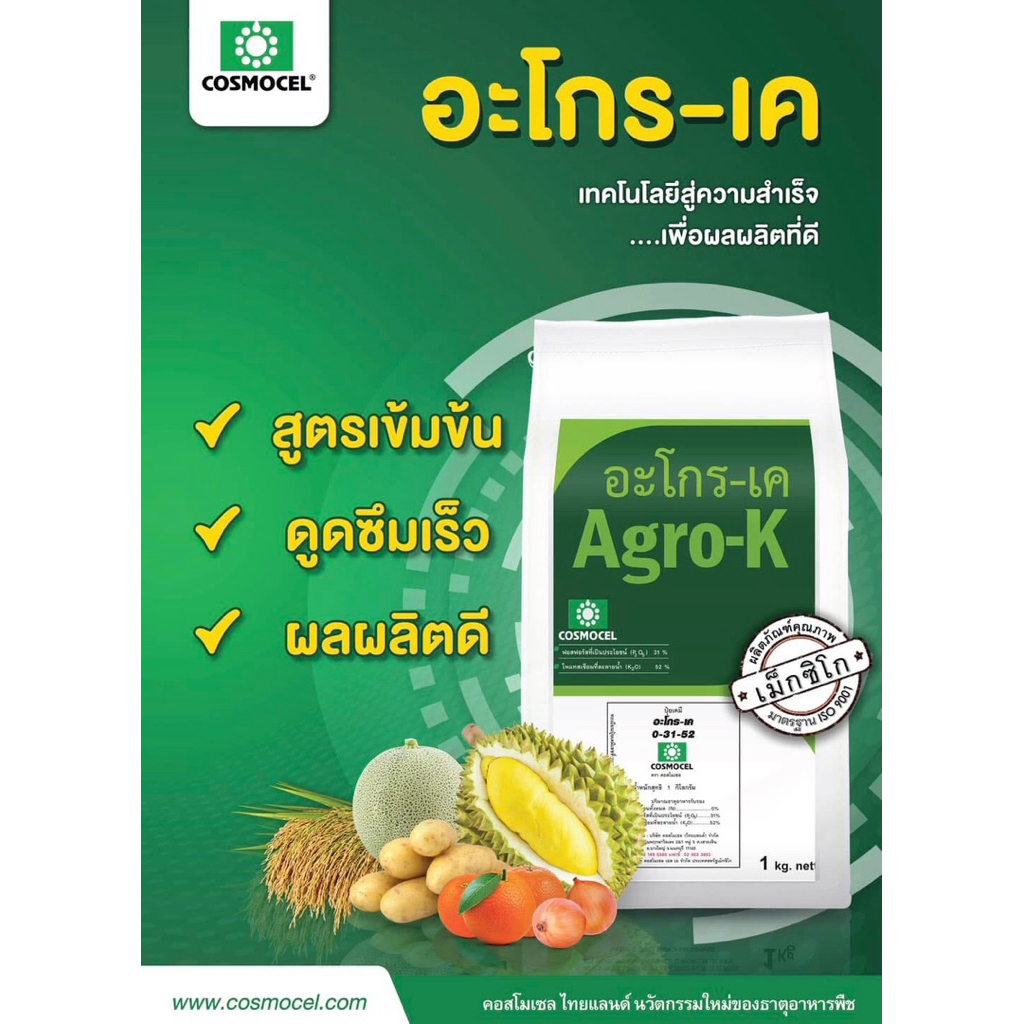 อะโกร-เค (Agro-K) คอสโมเซล ปุ๋ยเคมี 0-31-52 ดูดซึมเร็ว รูปที่ 2