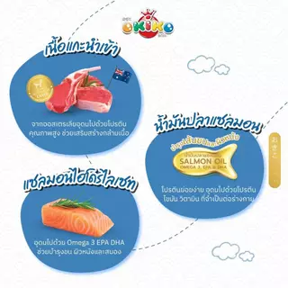 แบ่งขาย 1 กก. OKIKO CAT ALL AGES อาหารแมว โอกิโกะ