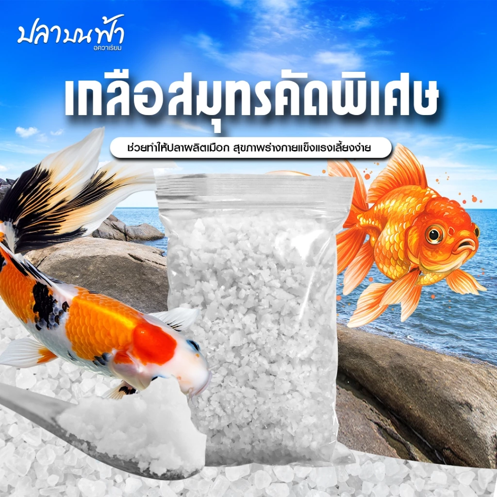 เกลือทะเล เกรดสะอาดใส่ตู้ปลา เกลือใส่บ่อปลา เกลือสมุทร เกลือใส่ปลา บรรจุถุงซิบล็อคใช้งานง่าย