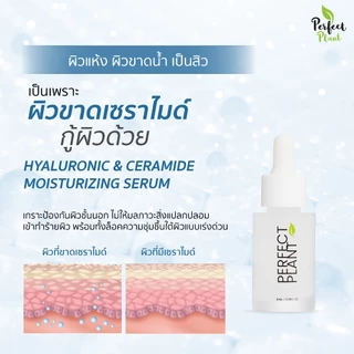 DR.NAME X Perfect Plant 8D HYA+Ceramide Moisturizer ไฮยา มอยส์เจอไรเซอร์ ผิวชุ่มชื้น บำรุงผิว 20 ML