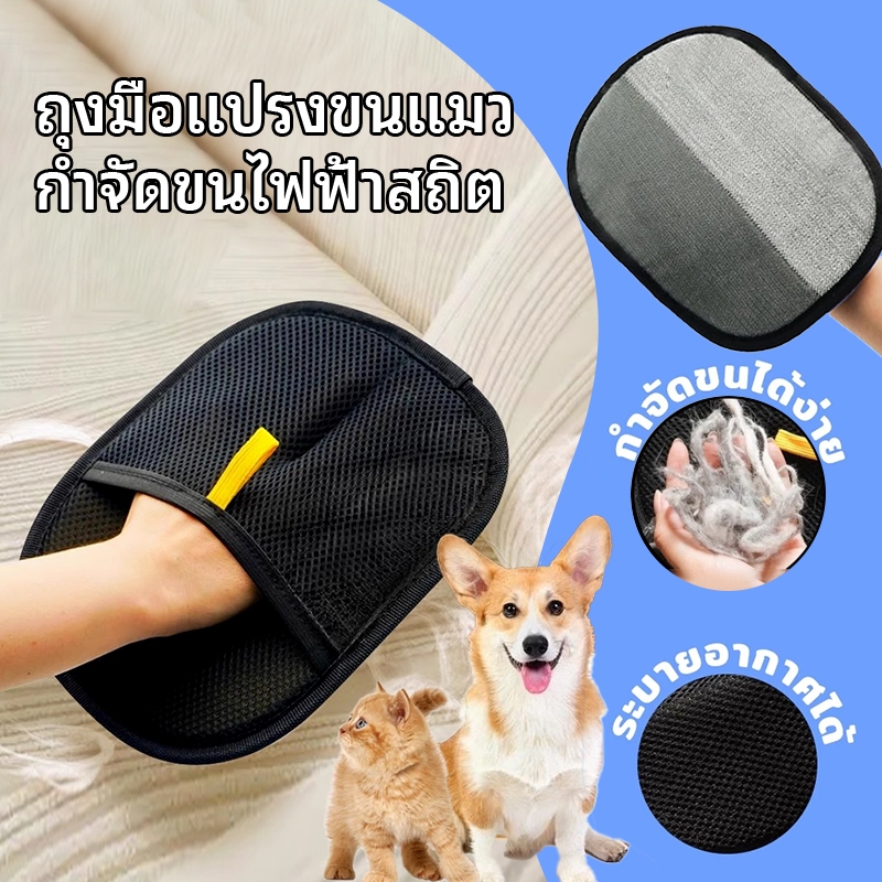 รูปภาพ 7