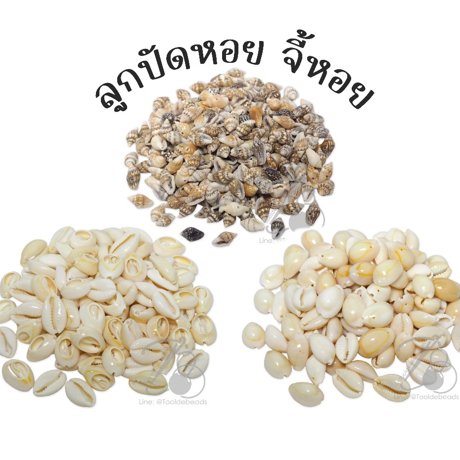 ลูกปัดเปลือกหอย จี้เปลือกหอย สีธรรมชาติ (70 กรัม / ห่อ)