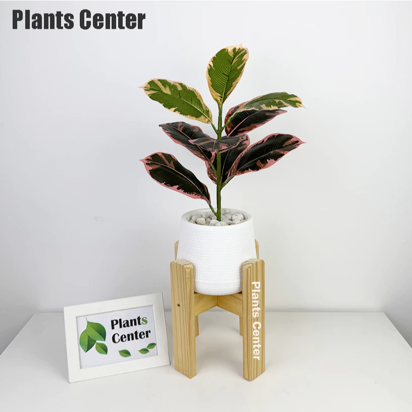 Plants Center ต้นไม้ปลอม 9ใบ สูง 45-55ซม รวมไม้ยอดนิยม ไม้มงคล ตกแต่งบ้าน แต่งสวน  P008 thumbnail 6