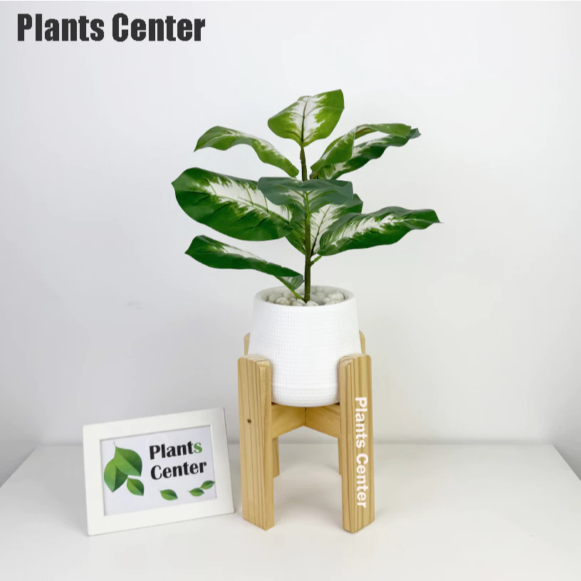 Plants Center ต้นไม้ปลอม 9ใบ สูง 45-55ซม รวมไม้ยอดนิยม ไม้มงคล ตกแต่งบ้าน แต่งสวน  P008 thumbnail 9