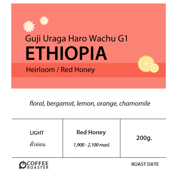 Ethiopia Guji Uraga Haro Wachu G1