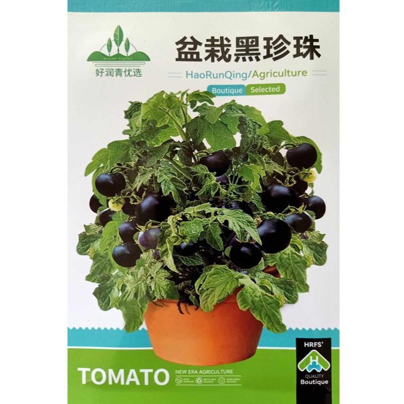40+ เมล็ด เมล็ดมะเขือเทศแคระ พุ่มเตี้ย สีดำ (ปลูกง่าย หายาก ต้นเตี้ยเป็นพุ่ม ผลสีดำ ออกผลดก รสชาติเปรี้ยวอมหวานทานสดได้) - รูปที่ 2