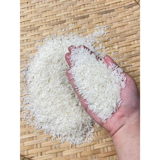 8.8 ลดสุด(ซื้อในโค้ดลด30%) (แพ็ก3 ตกถุงละ160บาท)ข้าวหอมมะลิใหม่ต้นฤดู(ปี69) Size5KG3ถุง