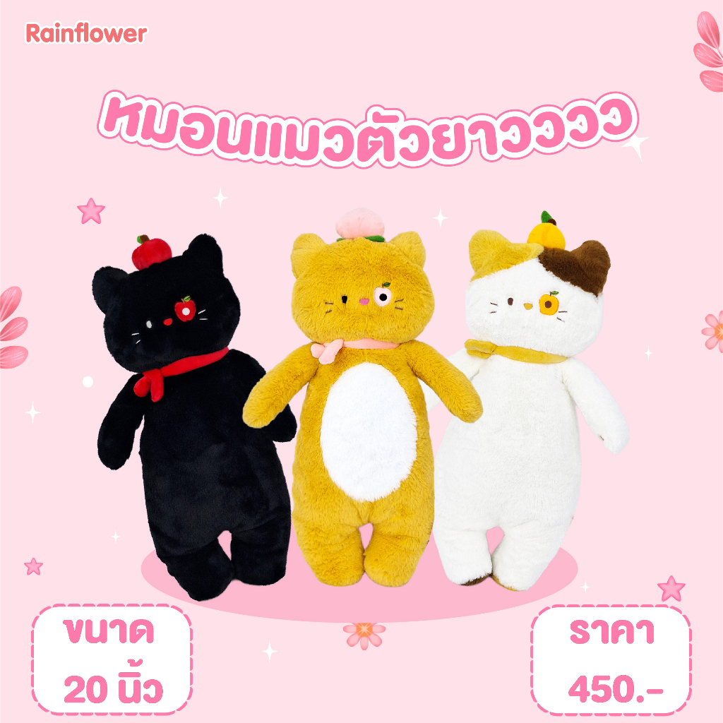 Rainflower หมอนยาวแมว 3 สี สุดคิ้วท์