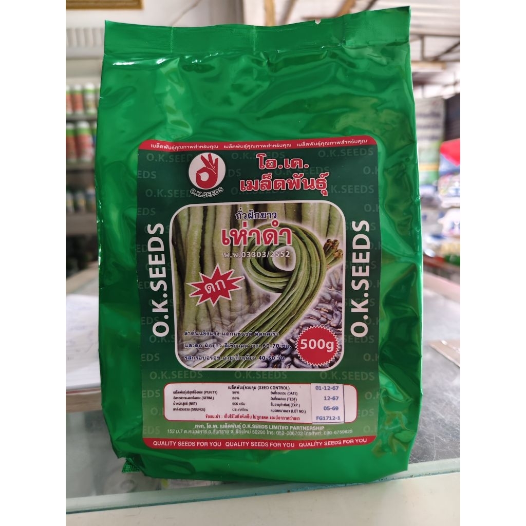 เมล็ดพันธุ์ถั่วฝักยาว เห่าดำ ขนาด 500 กรัม ฝักยาว 65-70ซม. ตลาดนิยม