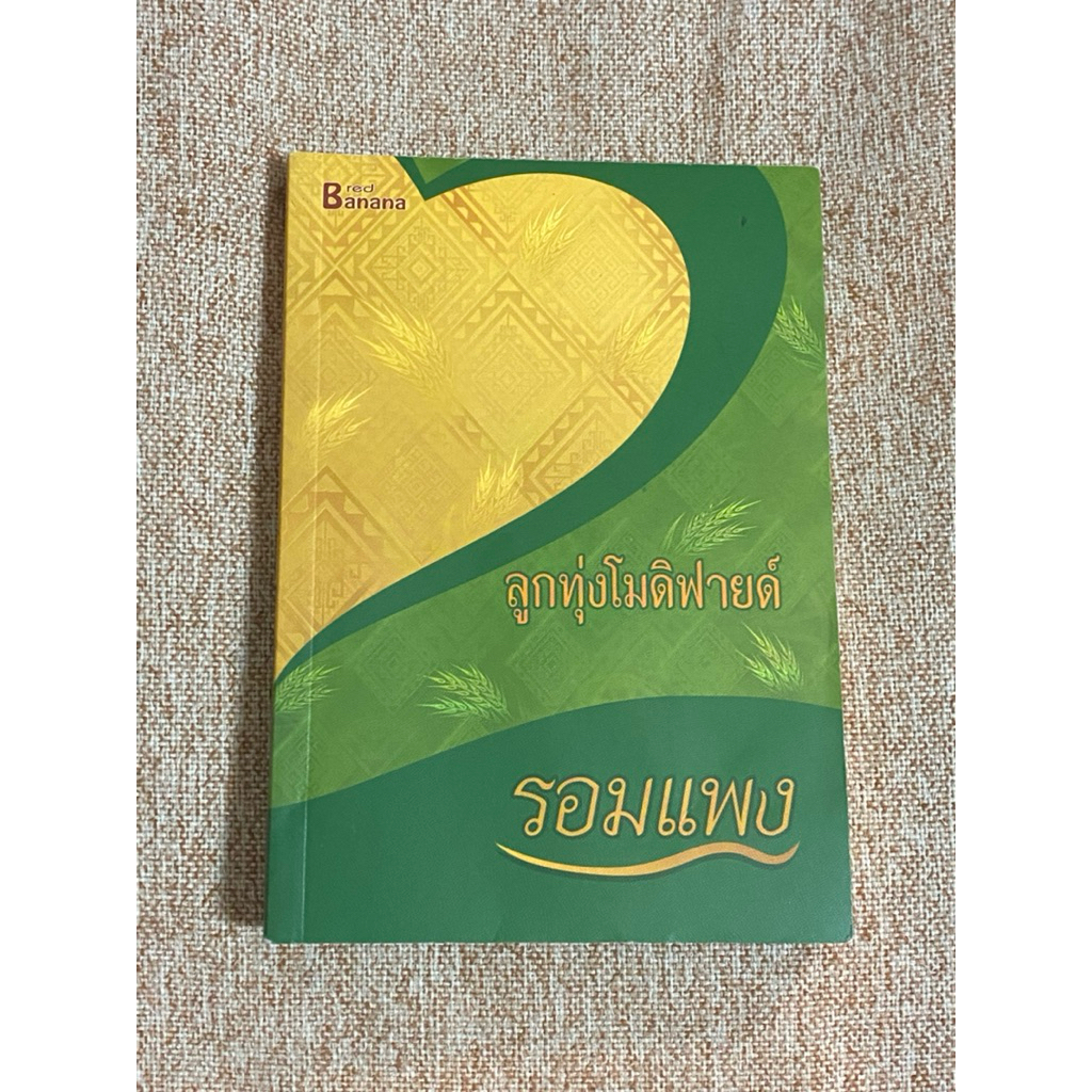 ลูกทุ่งโมดิฟายด์  (B11)