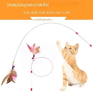 ของเล่นแมว ไม้ตกแมว แบบสปริง ไม้ล่อแมว แบบลวดสลิง ไม้แมว