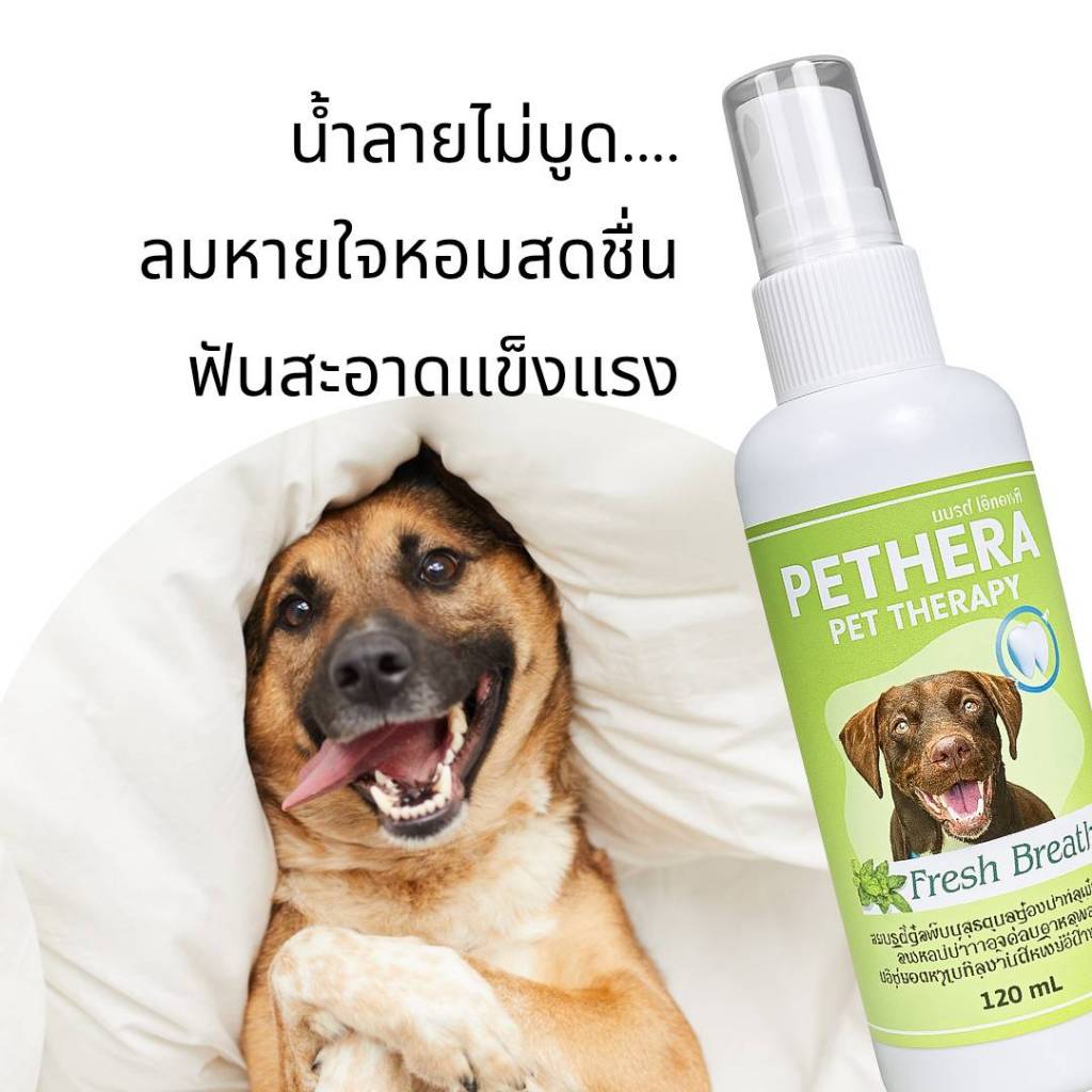 สเปรย์ลดเชื้อแบคทีเรียในปากสุนัขแมว ลดเชื้อที่ก่อให้เกิดโรคร้าย ช่วยดับกลิ่นปาก ลดอาการฟันผุ ขจัดคราบจากสารสกัดธรรมชาติ - รูปที่ 5