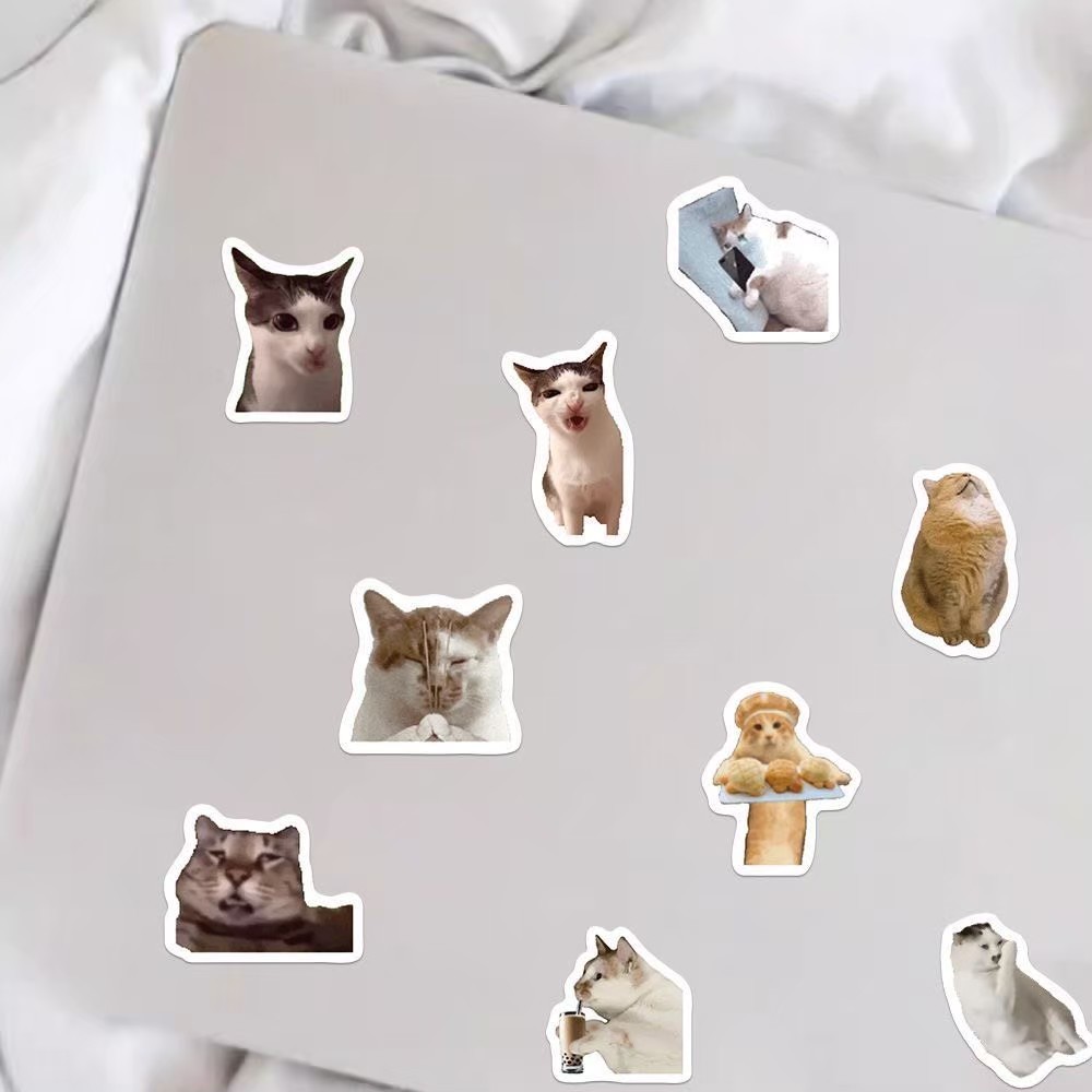 ส่งด่วน🤣 สติกเกอร์ มีมแมว ตลก Cat Meme Sticker สติกเกอร์ แปะเคส สมุด กระเป๋า น่ารัก หลายแบบ - รูปที่ 5