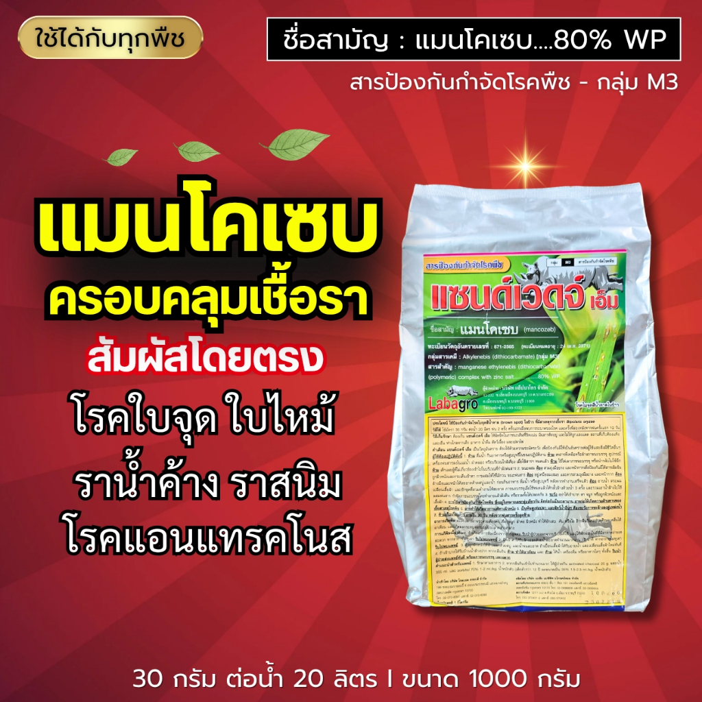 แซนด์เวดจ์ เอ็ม (แมนโคเซบ 50%) ครอบคลุมเชื้อรา ราสนิม ราน้ำค้าง แอนแทรคโนส โรคเน่าคอดิน โรคใบจุดสีน้ำตาล : 1 กิโลกรัม