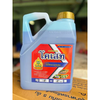 โคเสท ขนาด4ลิตร (ยกลัง6กระติก)