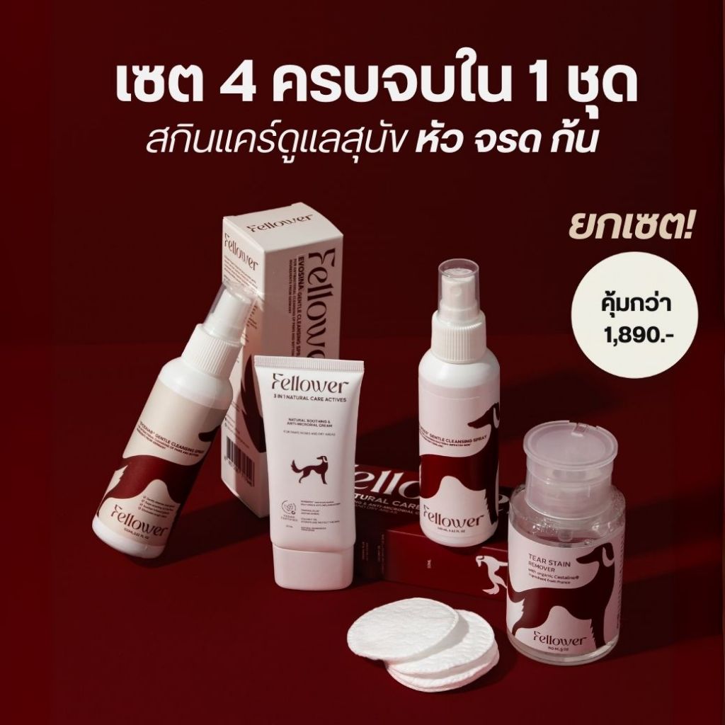 Set 4 ชิ้น ชุดดูแลสุนัข (หน้า+อุ้งเท้า+ก้นหลังขับถ่าย) หยุดแบคทีเรียแกรมบวกบนผิว อาการคัน เลียอุ้งเท้า ไถก้น