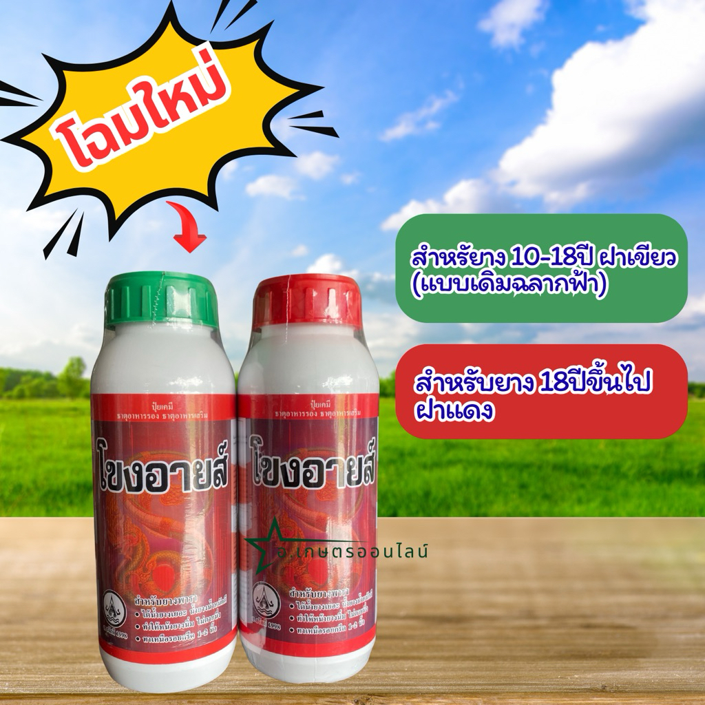 ทายาหน้ายางโขงอายส์ แถมแปรงฟรี(ฉากฟ้าเปลี่ยนเป็นฝาเขียวฉลากแดง)