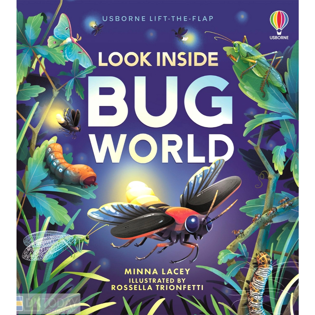 DKTODAY หนังสือ USBORNE LOOK INSIDE BUG WORLD (AGE 5+)