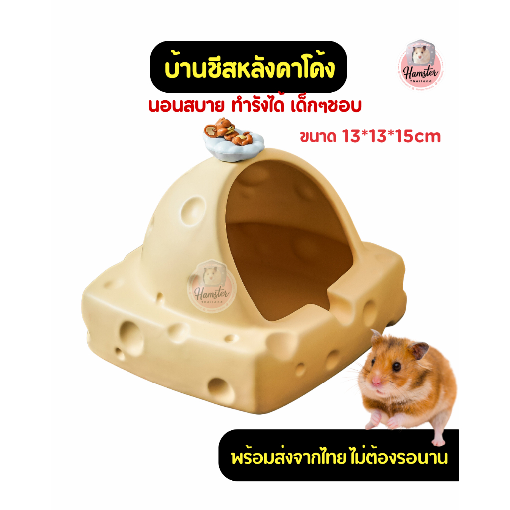 Hamsterthailand บ้านชีสหลังคาโค้ง01 บ้านแฮมสเตอร์ บ้านสัตว์เลี้ยง บ้านหนูแฮมสเตอร์ ชีส ของเล่น